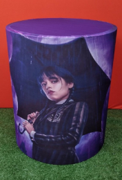 CAPA CILINDRO WANDINHA M